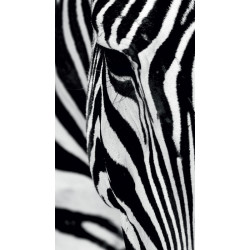 Fotozáclony Zebra 140x245cm
