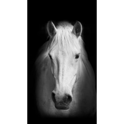 Fotozáclony kůň 140x245cm