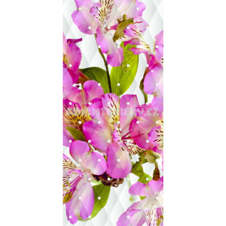 Fototapeta vliesová Flower apple blossom 90x202cm