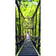 Fototapeta vliesová Forest bridge 90x202cm