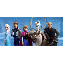 Fototapeta vliesová Disney Frozen 202x90cm