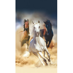 Fotozáclony Horses 140x245cm