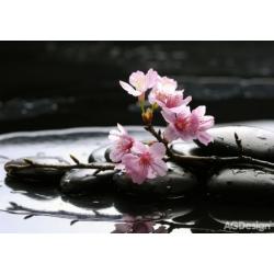 Fototapeta růžové květy na kameni 360 x 254 cm AG Design FTS 0185
