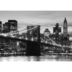 Fototapeta Brooklynský most černobílý 360 x 254 cm AG Design FTS 0199