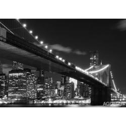 Fototapeta Brooklynský most 360 x 254 cm AG Design FTS 1305