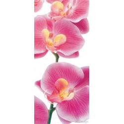Fototapeta vliesová růžové orchideje 90 x 202 cm AG Design FTN V 2826