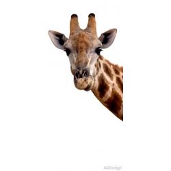 Fototapeta vliesová žirafa 90x202cm