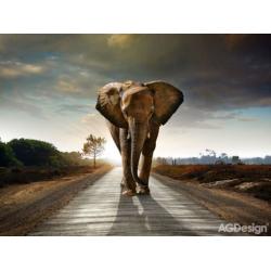 Fototapeta vliesová velký slon 360 x 270cm AG Design FTN XXL 0438