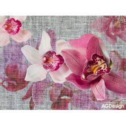 Fototapeta vliesová růžové orchideje 330 x 255 cm AG Design FTN XXL 1148