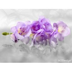 Fototapeta vliesová orchidej 3d 330 x 255 cm AG Design FTN XXL 2400