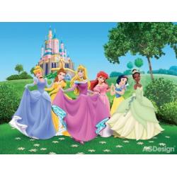 Fototapeta vliesová Disney princezny 330 x 255 cm AG Design FTDN5003